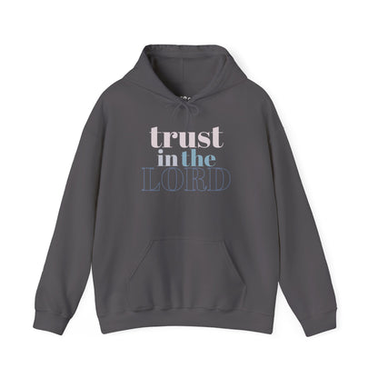 Trust in The Lord Hoodie, Charcoal Front