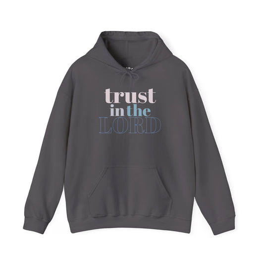 Trust in The Lord Hoodie, Charcoal Front