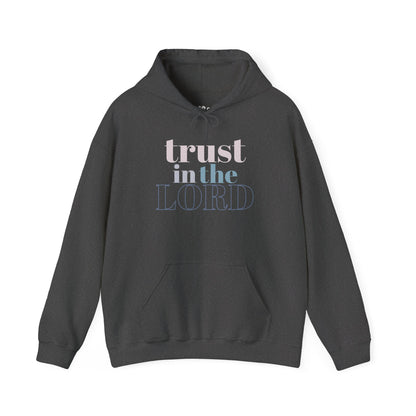 Trust in The Lord Hoodie, Dark Heather Front