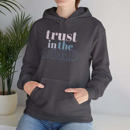 Trust in The Lord Hoodie Context Charcoal Front